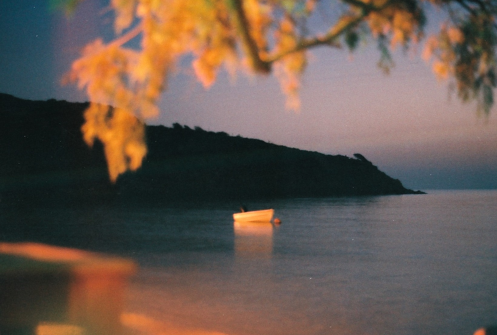 Sommes nous indispensables